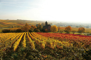 Nikolauskapelle im Herbst