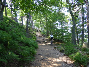 Pfälzerwald1