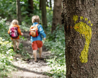 A barefoot walk for the senses