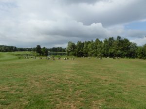 Golf Absolut Dreihof 3