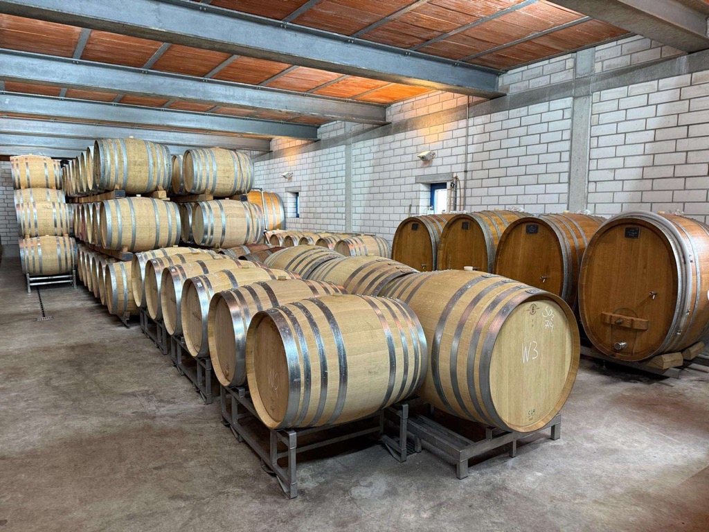 Weinkeller, Barrique, Fässer, Weingenuss, Wein, SÜW, Boutiquehotel