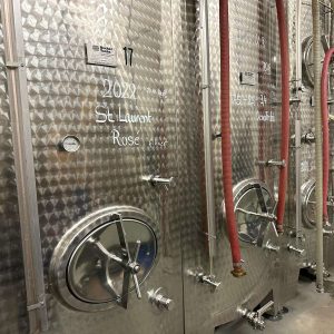 Boutique-Hotel-Maximilians, Peter-Siener, Wein-Verkostung, Wein-Keller