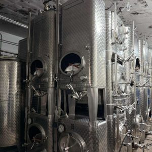 WhatsApp Image 2025 06 10 At 14.21.45 (5) Weinkeller Weingut Münzberg – Edelstahltanks für die Weinherstellung in der Südpfalz bei einer Kellerführung